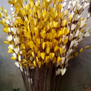 Dry Flower - Sola Flower Stick